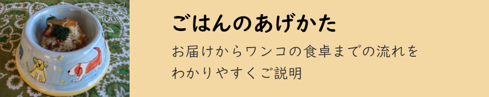 ごはんのあげ方